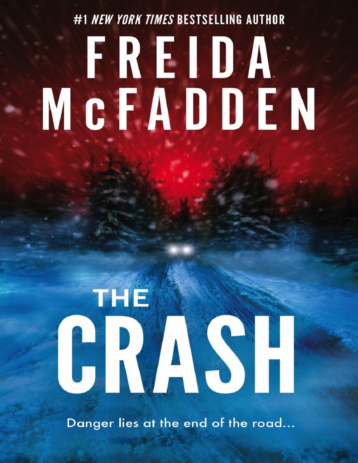 The Crash Freida Mcfadden