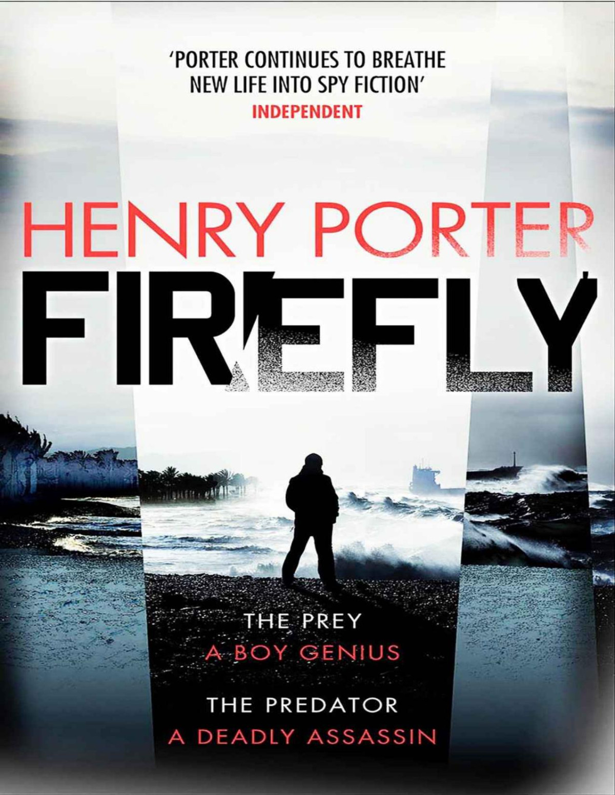 Firefly Henry Porter