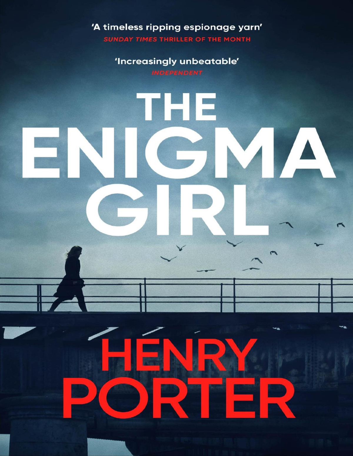 The Enigma Girl Henry Porter