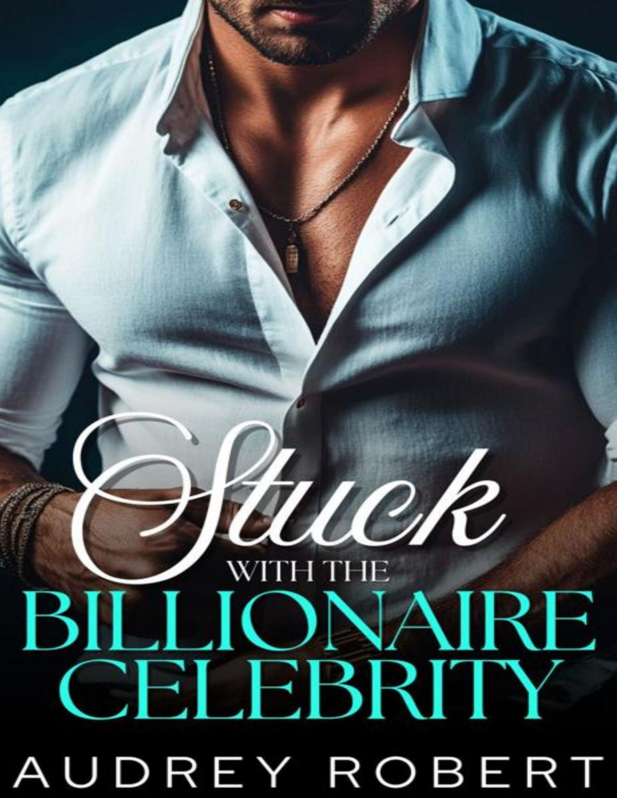Stuck With The Billionaire Celebrity An Enemies To Lovers Protector Romance Audrey Robert