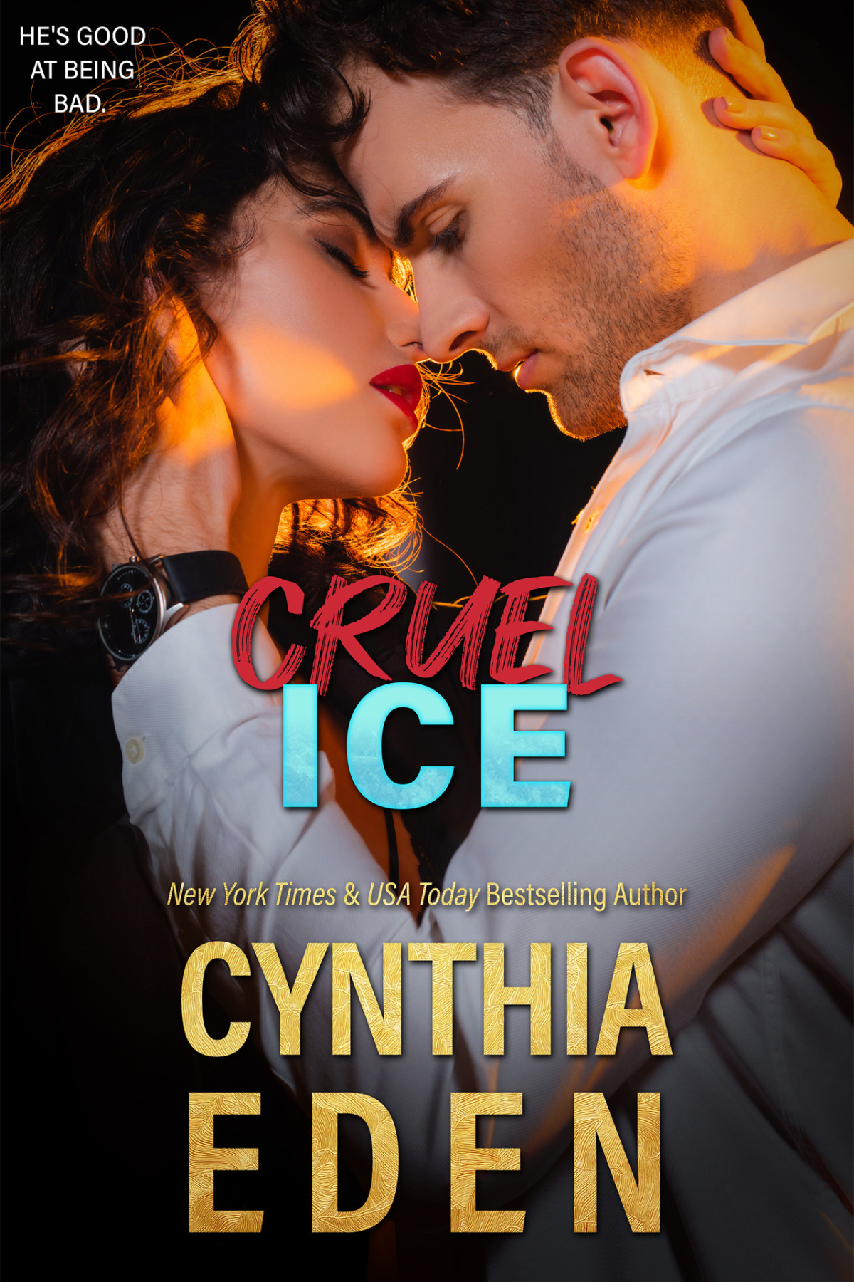 Cruel Ice Ice Breaker Cold Case Romance Book 12 Cynthia Eden