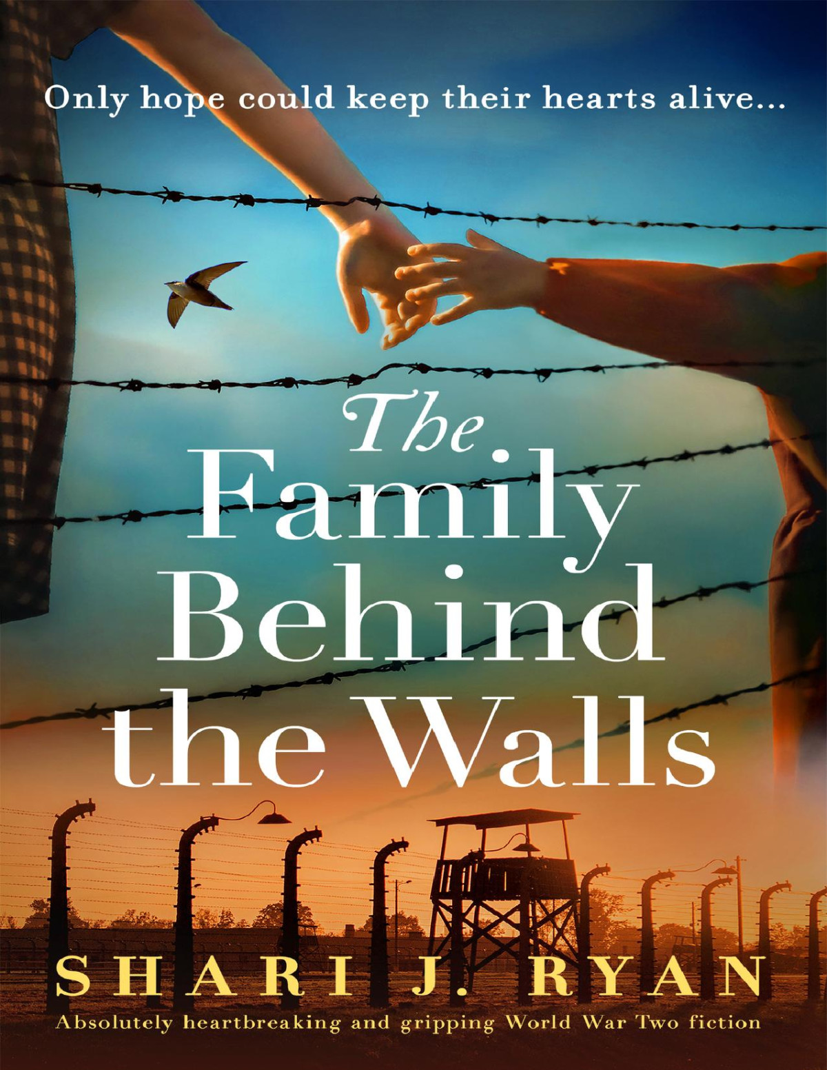 The Family Behind The Walls Shari J Ryan