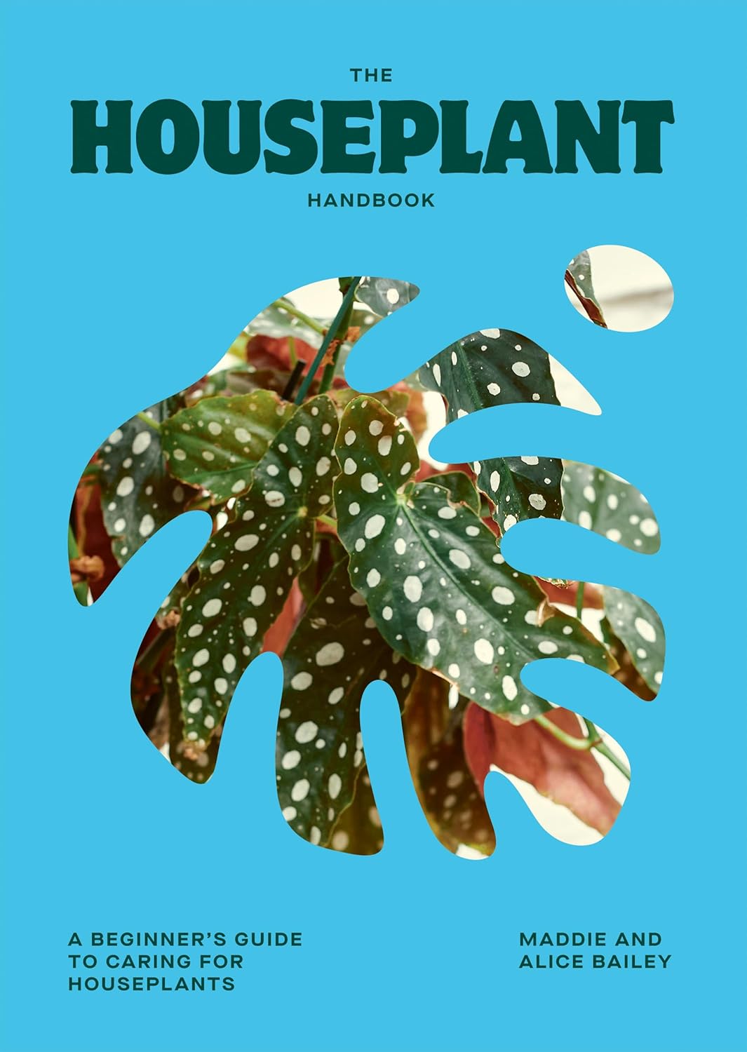 The Houseplant Handbook A Beginners Guide To Caring For Houseplants Alice Bailey