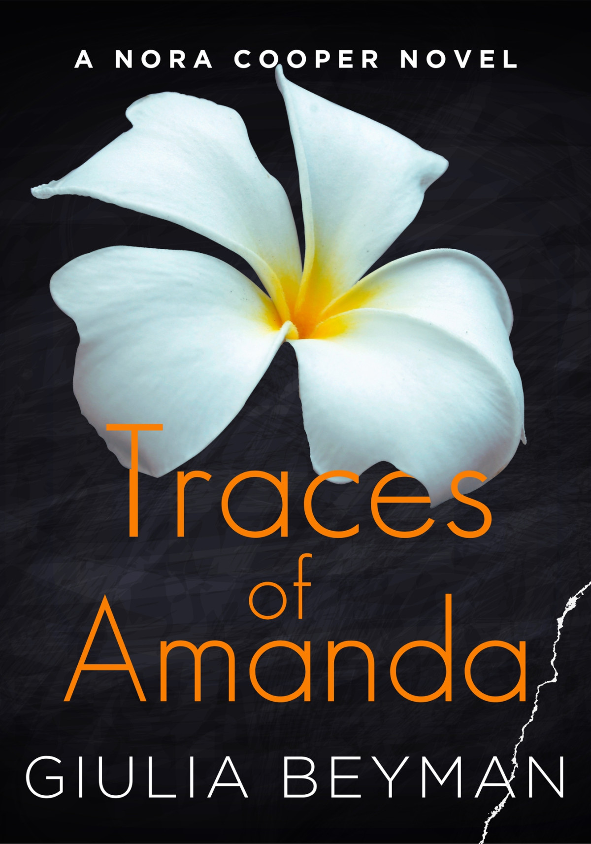 Traces Of Amanda Nora Cooper Book 4 Giulia Beyman