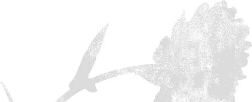 Dancing With A Shadow A Monster Romance Quell T Fox