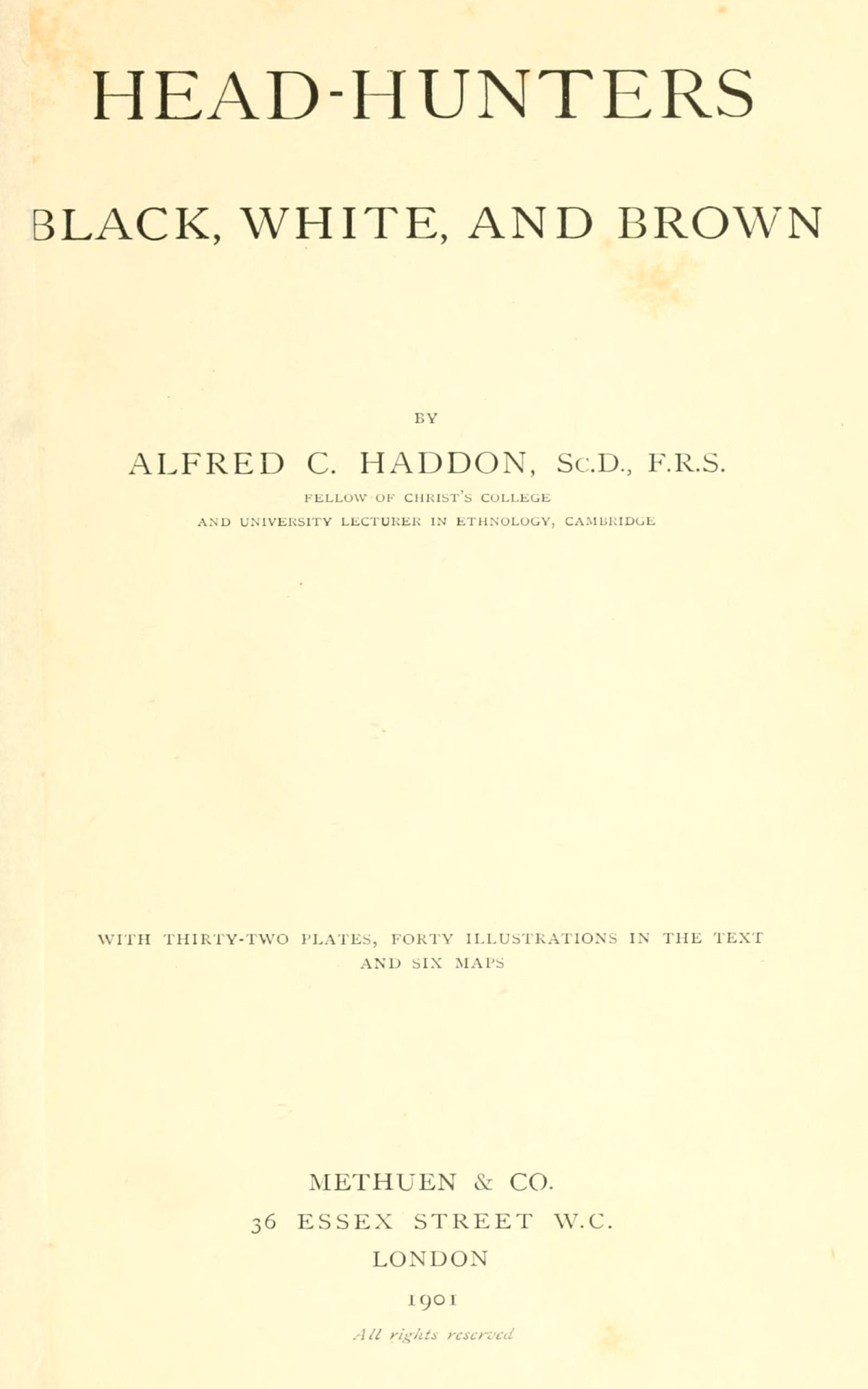 Headhunters Black White And Brown Alfred C Haddon