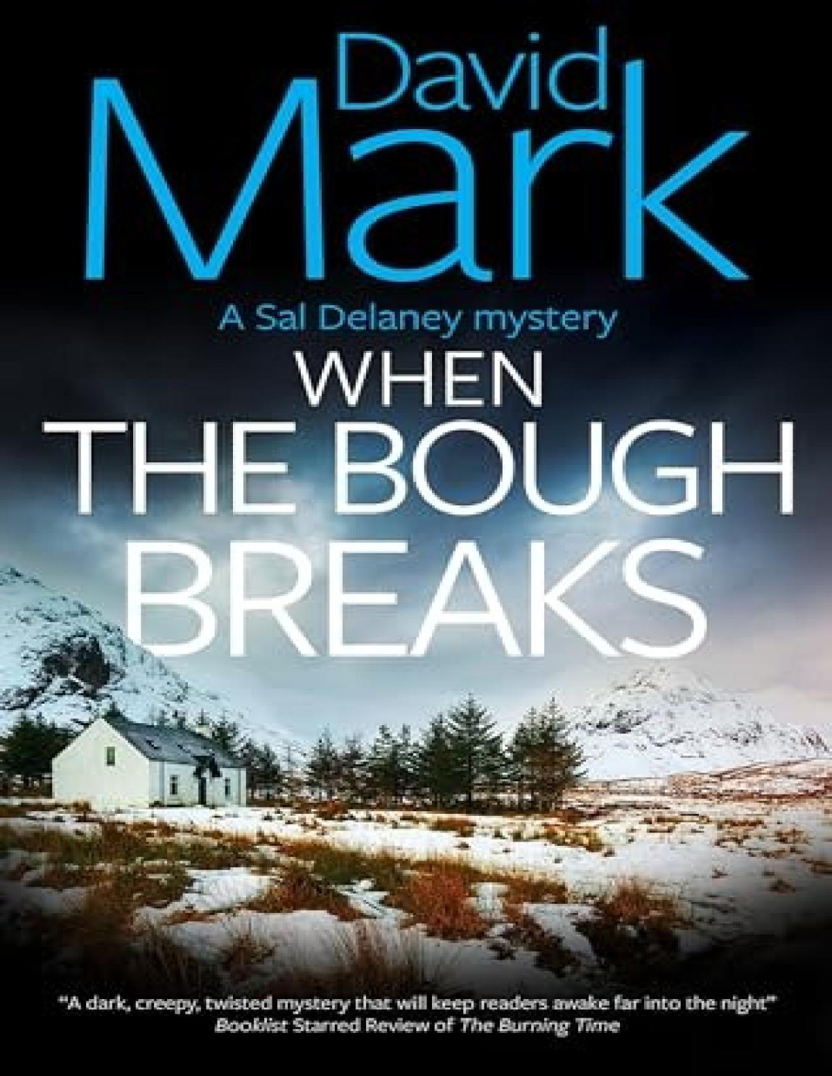 Sal Delaney Mystery 1 When The Bough Breaks David Mark