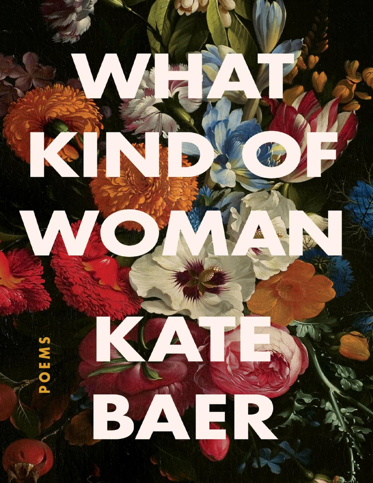 What Kind Of Woman Poems Kate Baer