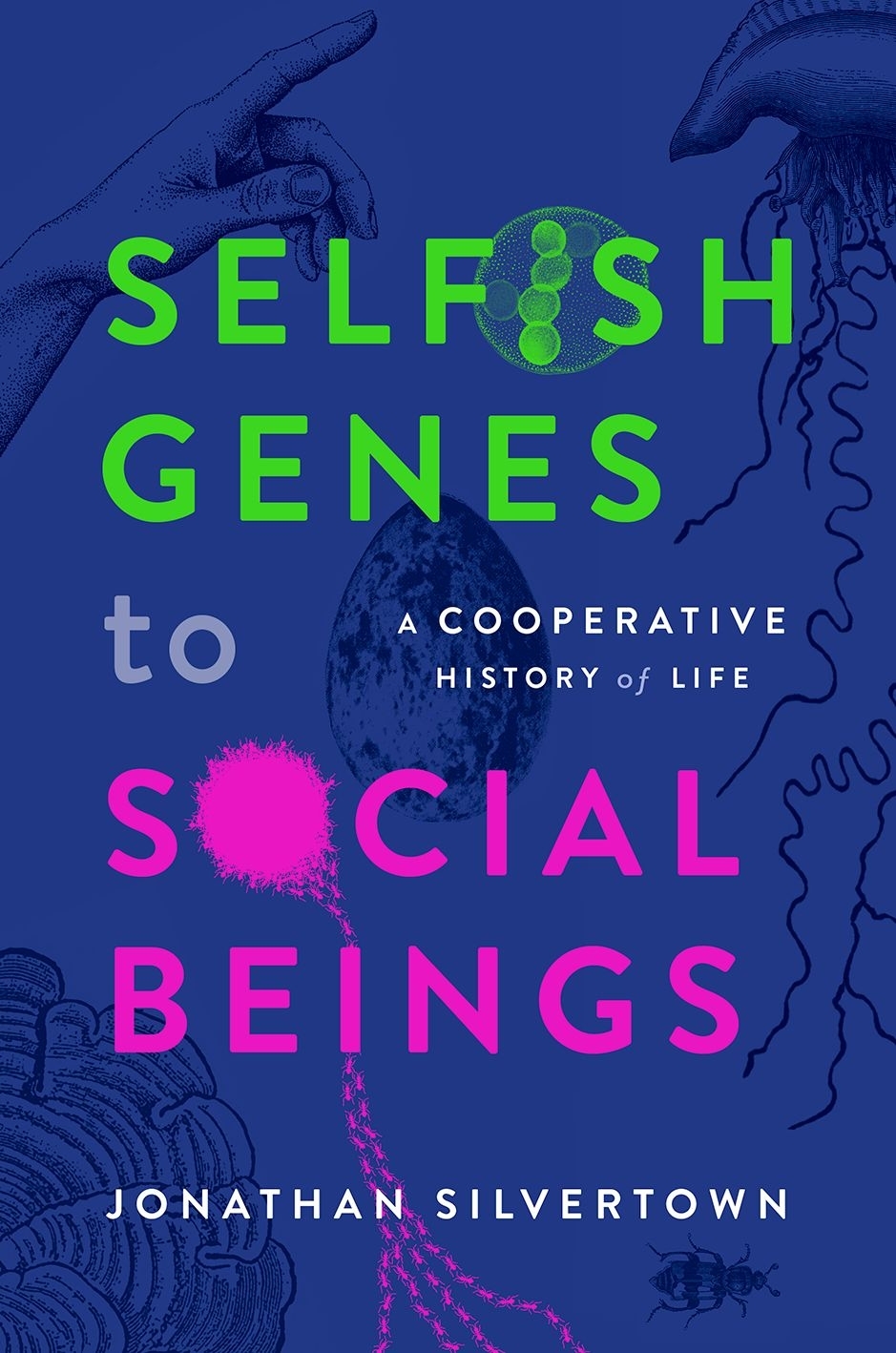 Selfish Genes To Social Beings A Cooperative History Of Life 1st Edition Jonathan Silvertown