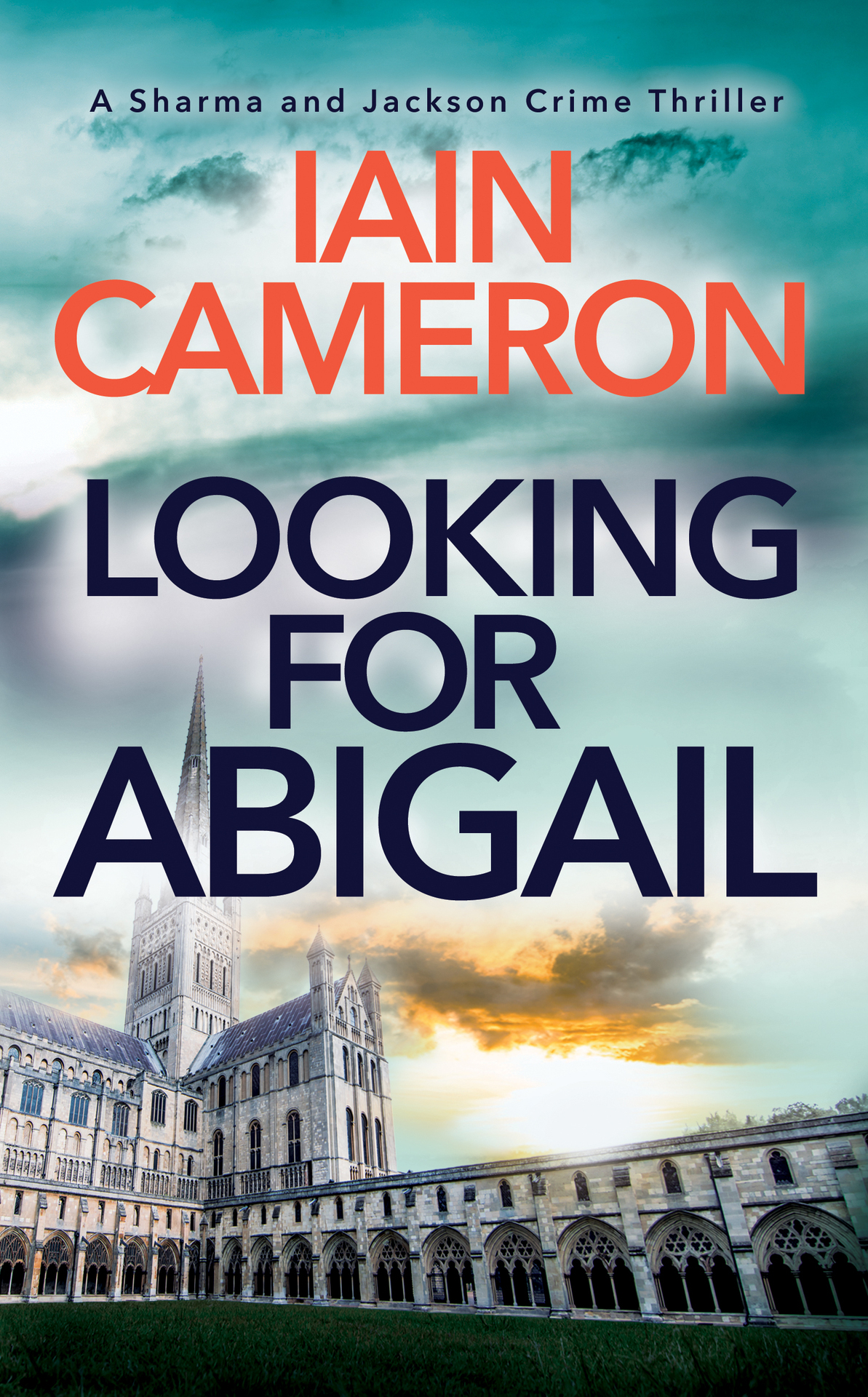 Looking For Abigail A Thrilling Norfolk Crime Novel Sharma And Jackson Book 2 Iain Cameron