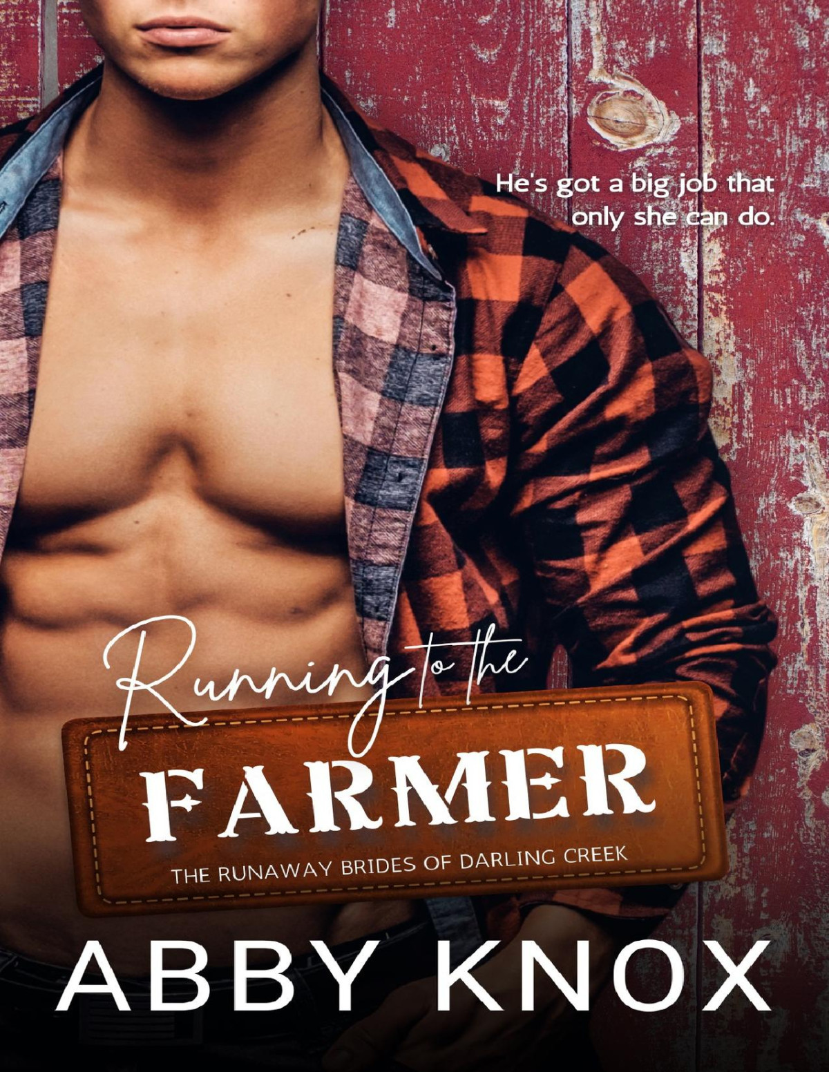 Running To The Farmer Abby Knox