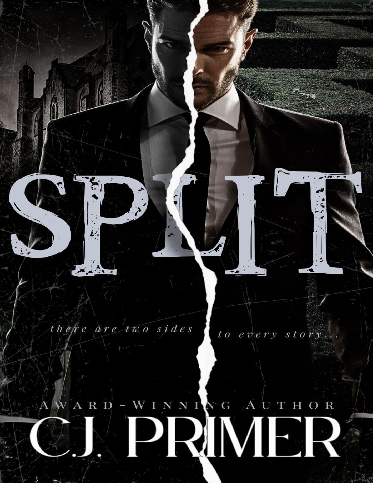 Split A Dark Psychological Thriller Cj Primer