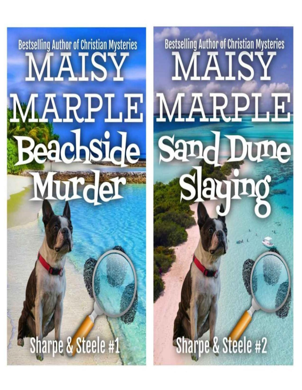 Beachside Murder Sand Dune Slaying A Private Investigator Small Town Beach Cozy Mystery 2pack Maisy Marple