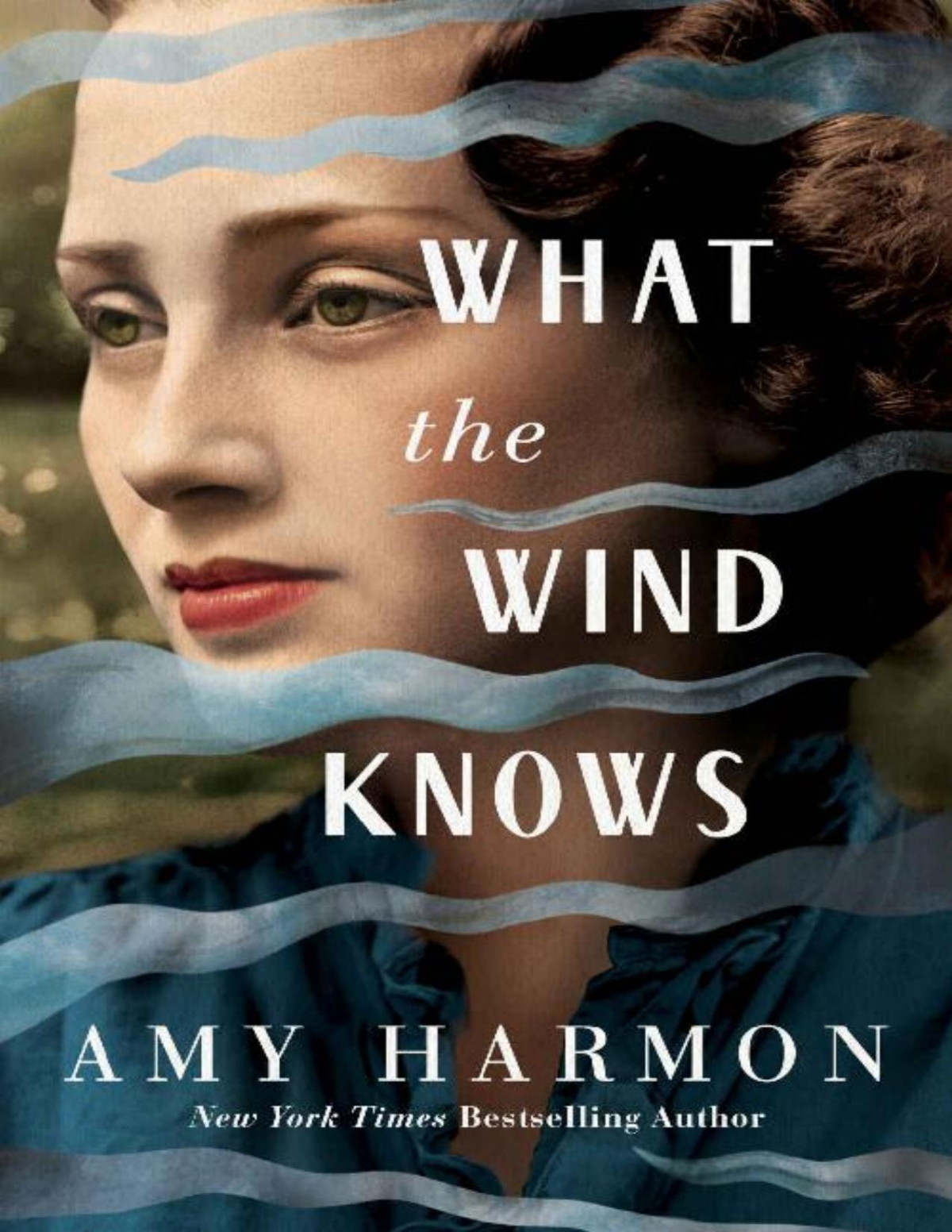 What The Wind Knows Amy Harmon