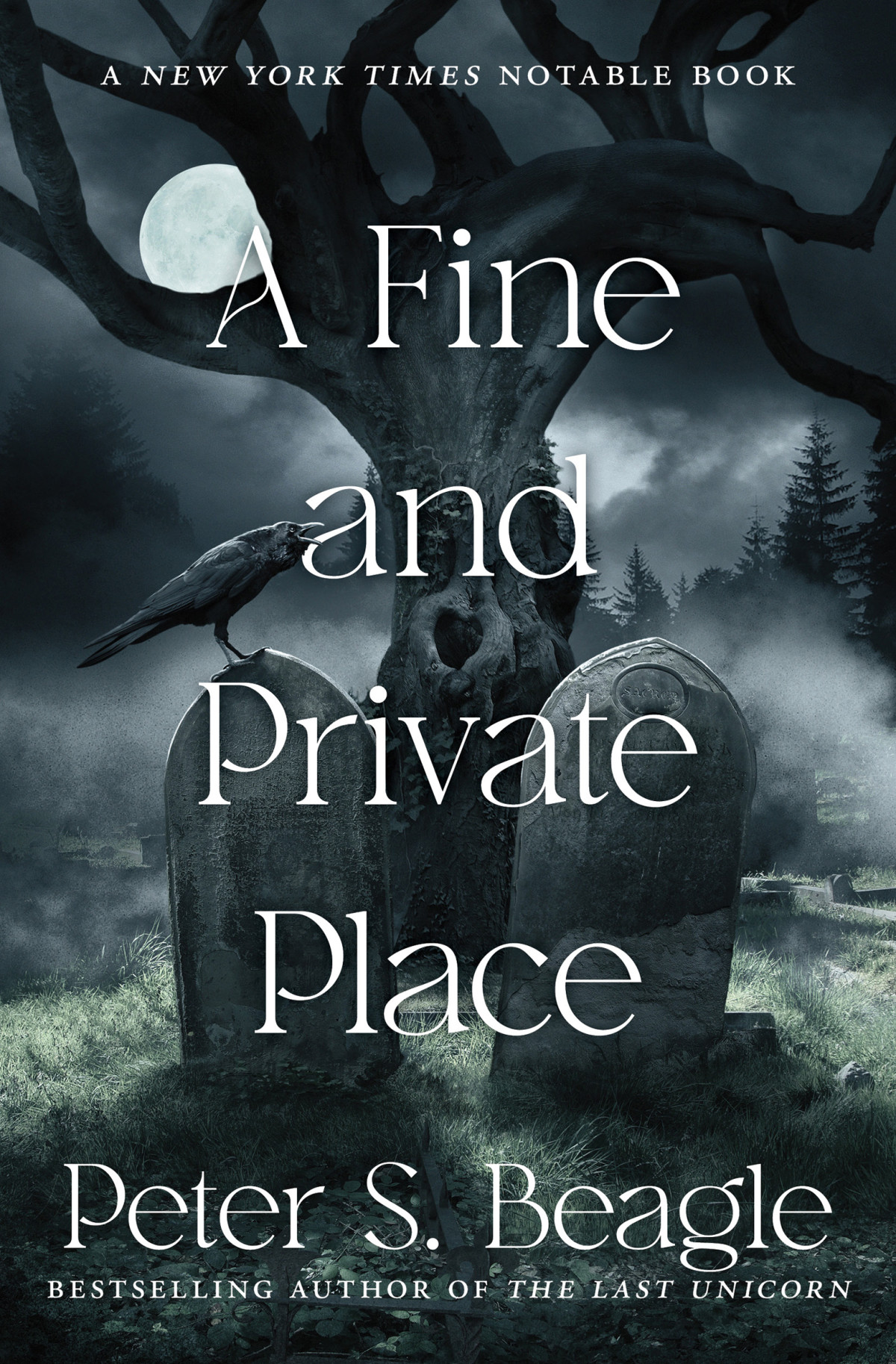 A Fine And Private Place Peter S Beagle