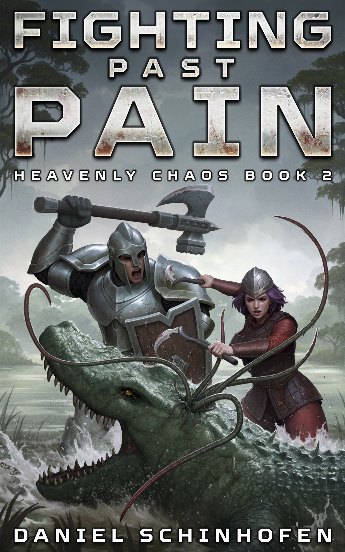 Heavenly Chaos 2 Fighting Past Pain Daniel Schinhofen