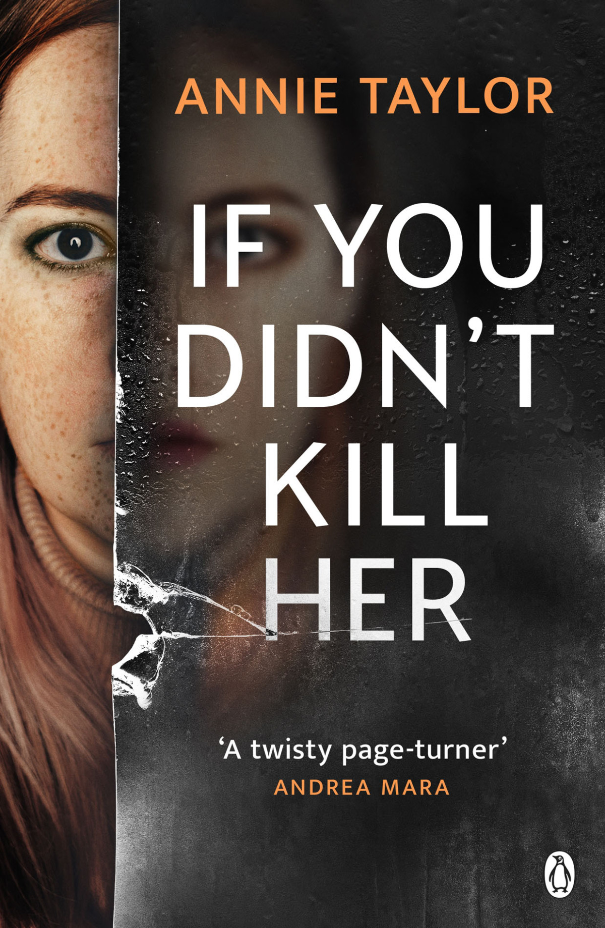 If You Didnt Kill Her Annie Taylor