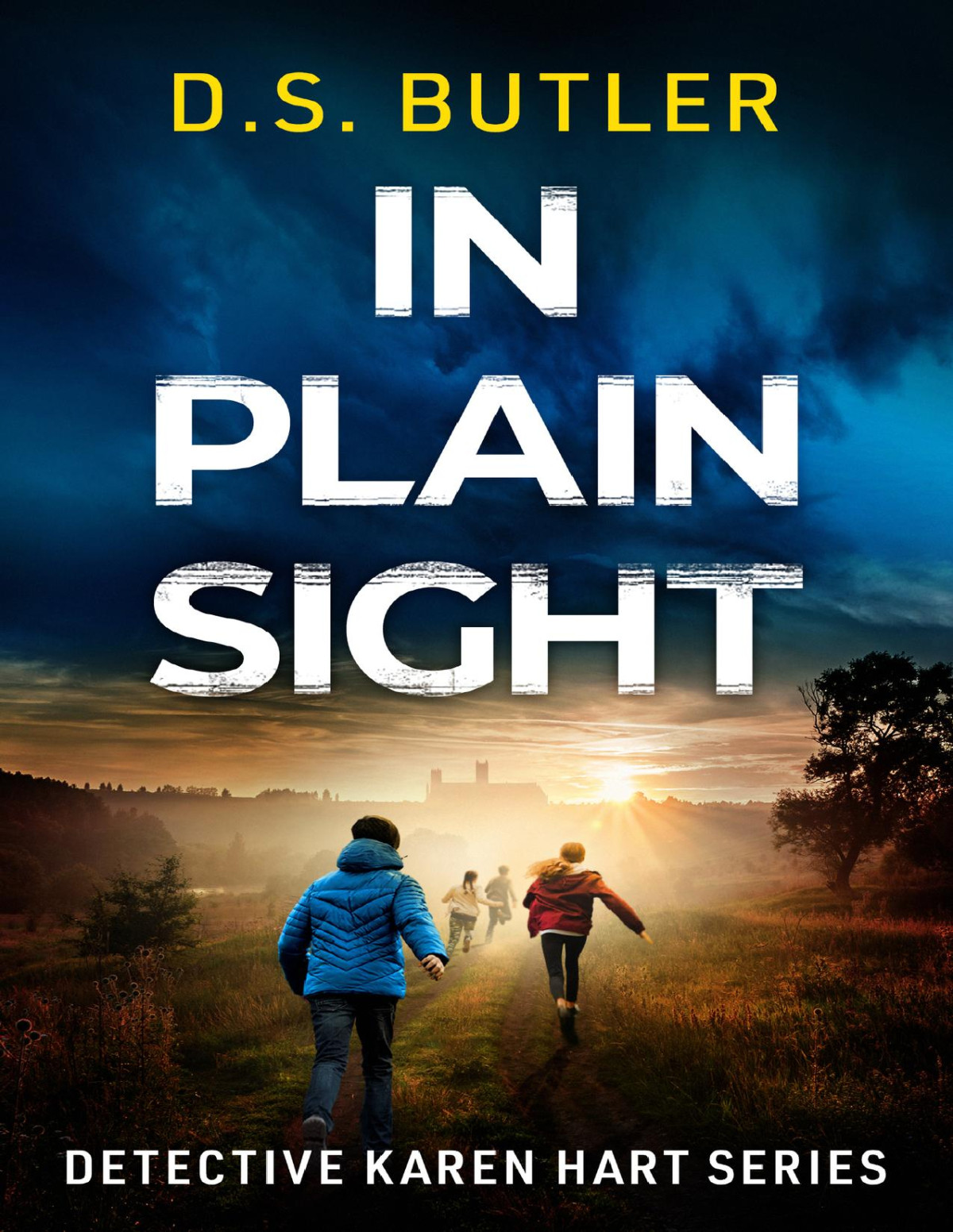 In Plain Sight Detective Karen Hart D S Butler
