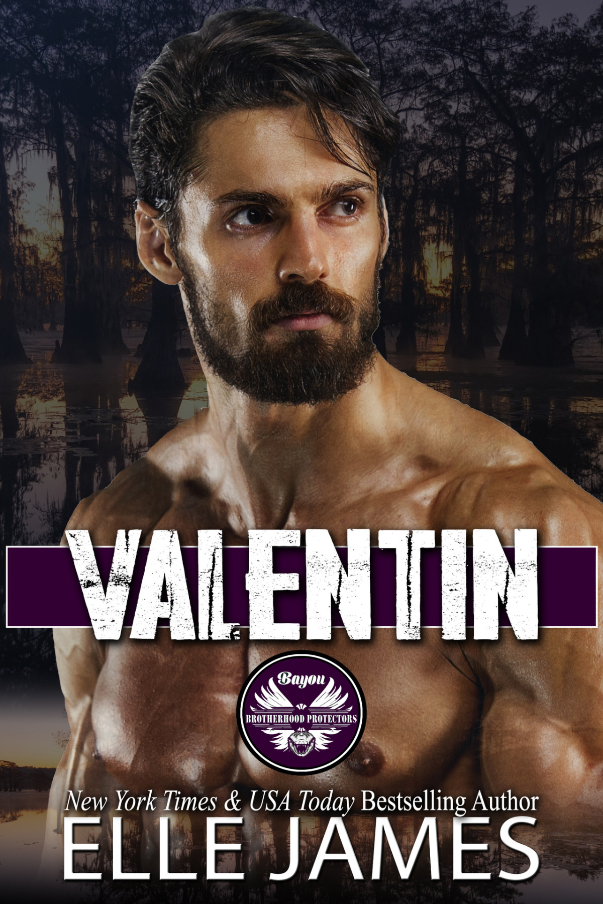 Valentin Small Town Protective Hero Romantic Suspense Bayou Brotherhood Protectors Book 6 Elle James