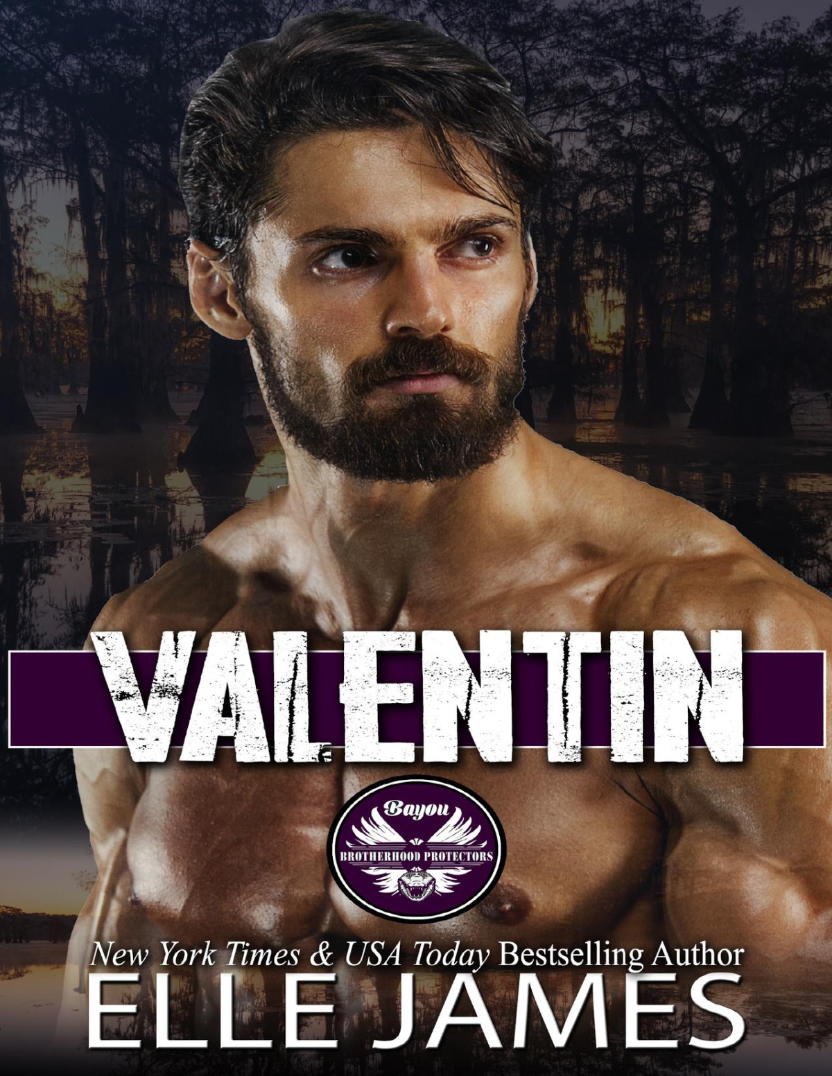 Valentin Small Town Protective Hero Romantic Suspense Bayou Brotherhood Protectors Book 6 James