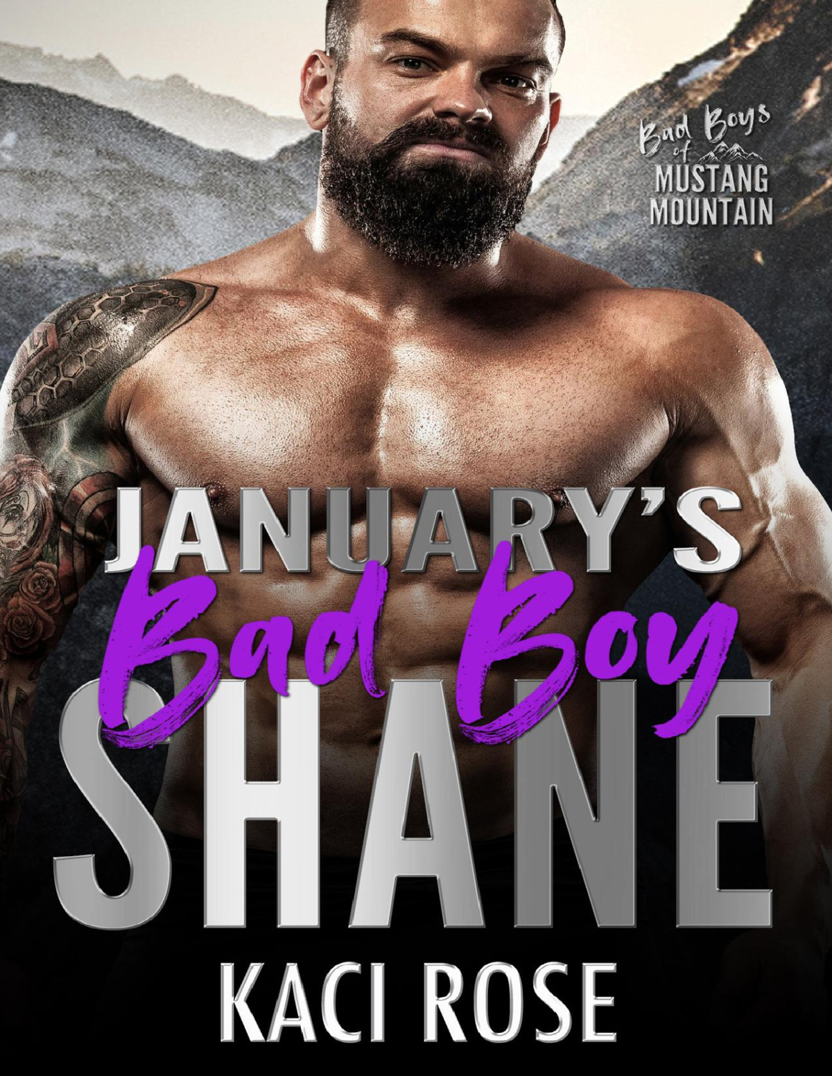 Januarys Bad Boy Shane Brothers Best Friend One Bed Romance Bad Boys Of Mustang Mountain Book 1 Kaci Rose