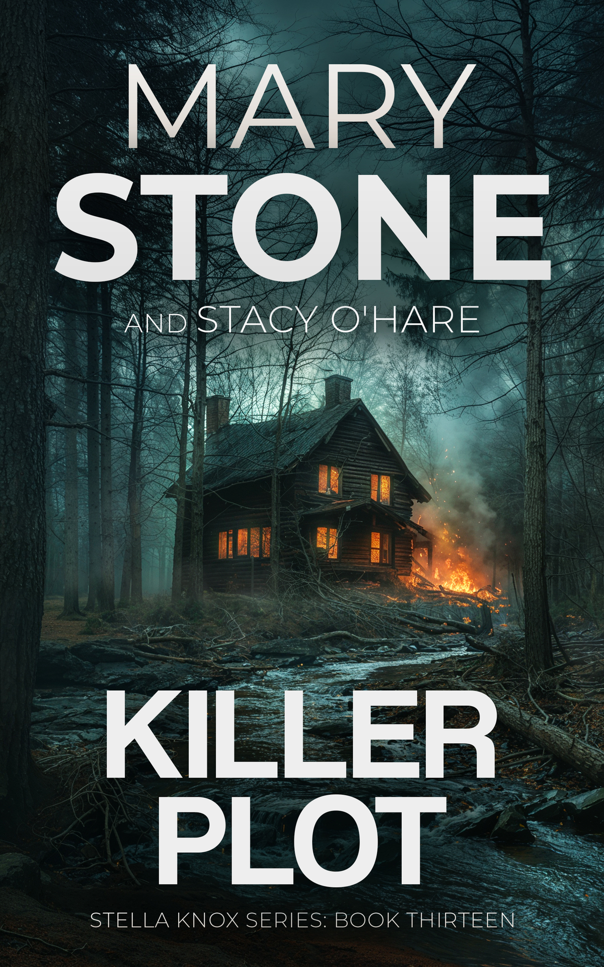 Killer Plot Stella Knox Fbi Mystery Series Book 13 Mary Stone