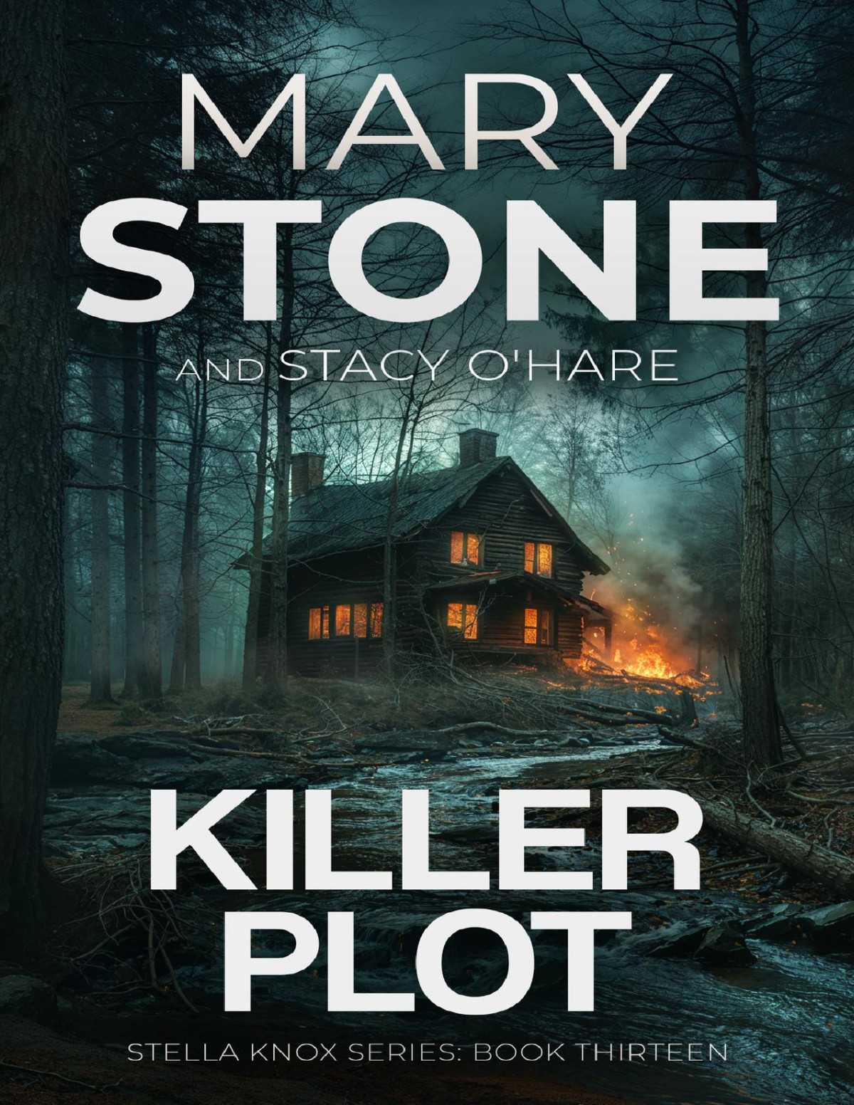 Killer Plot Stella Knox Fbi Mystery Series Book 13 Mary Stone