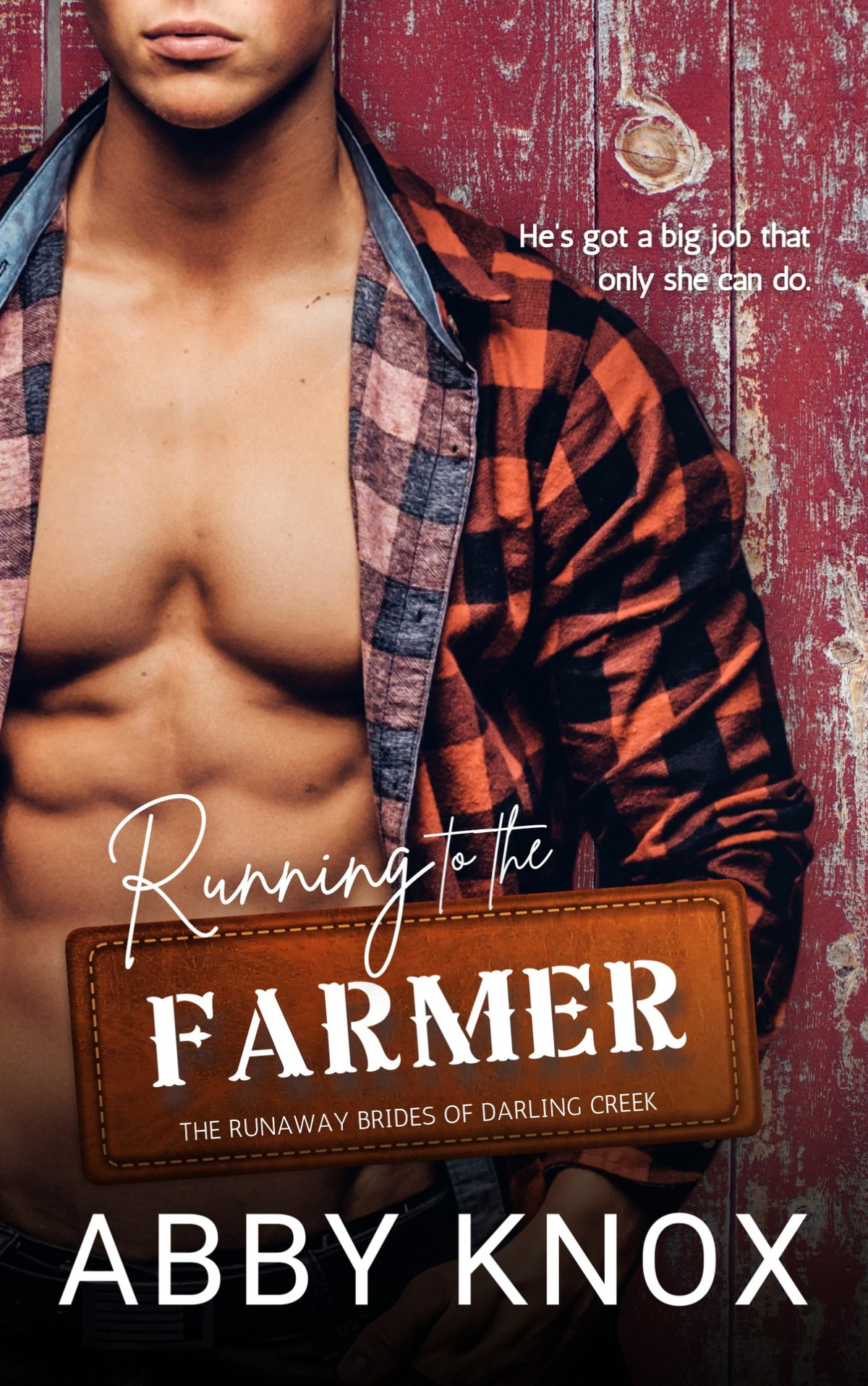 Running To The Farmer Abby Knox