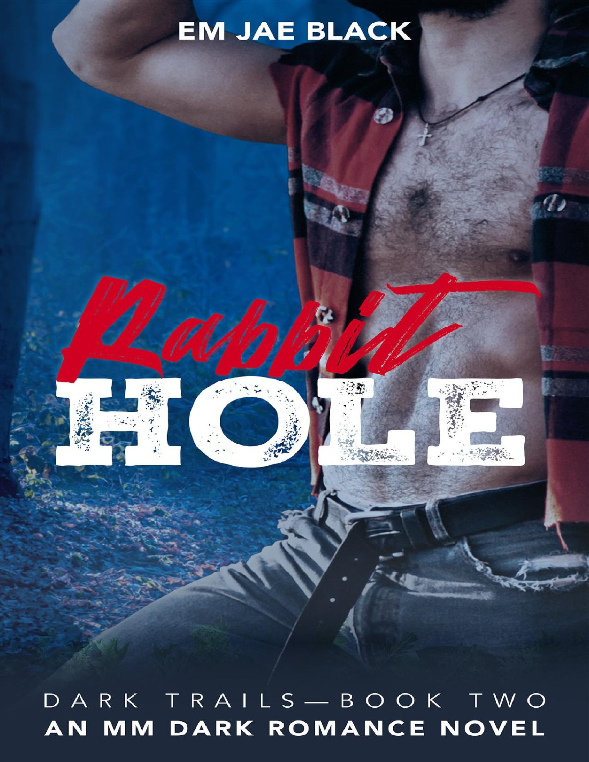 Rabbit Hole A Mm Dark Romance Novel Dark Trails Book 2 Em Jae Black