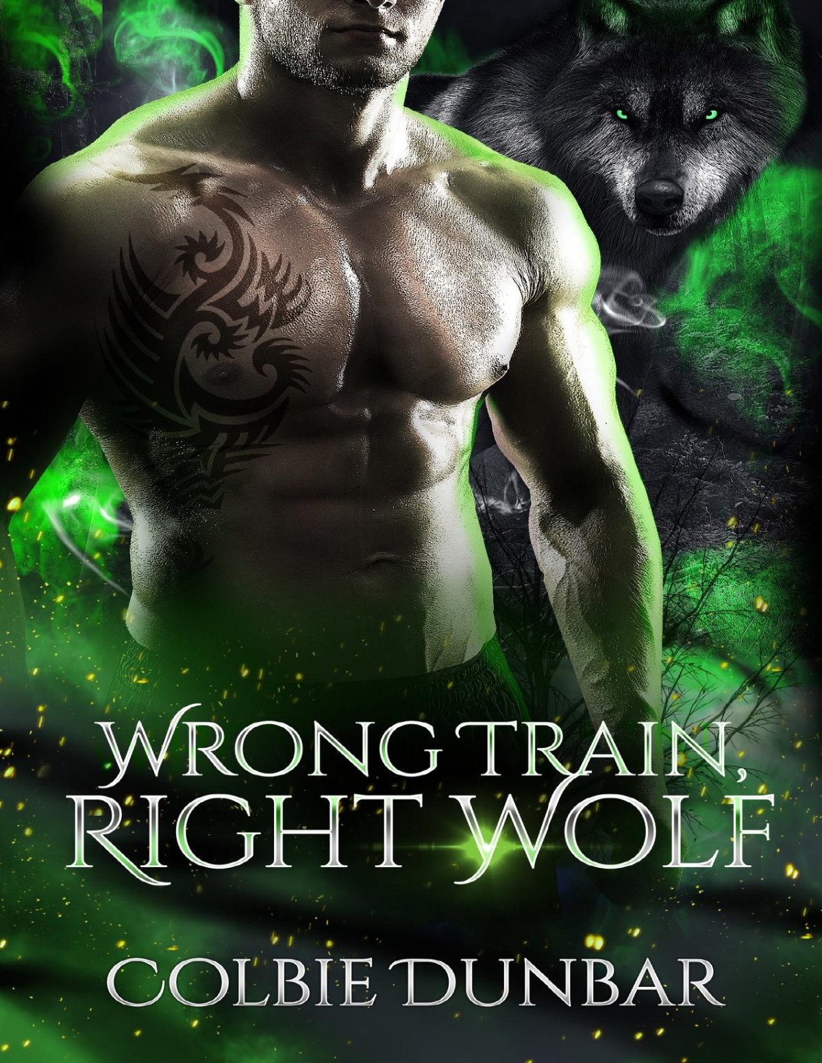 Wrong Train Right Wolf Love Sync Mates Season 2 A Mpreg Shifter Romance Colbie Dunbar