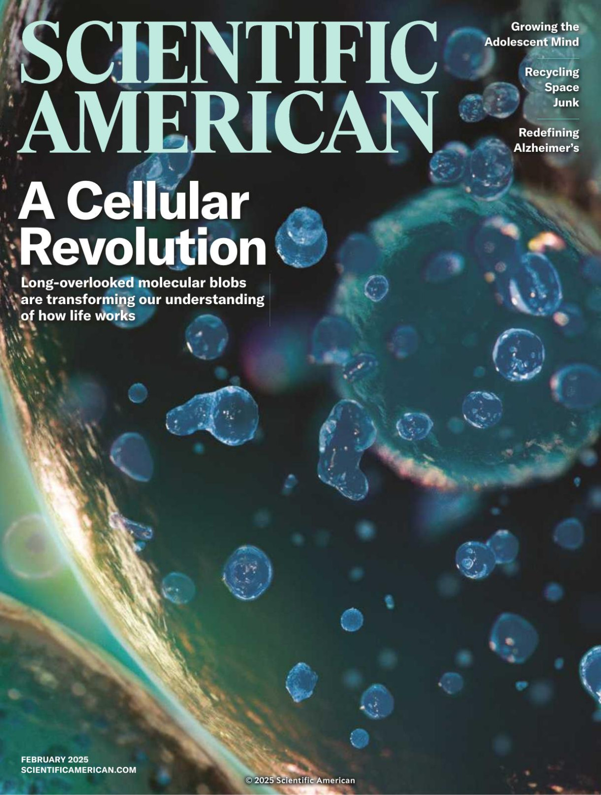 Scientific American February 2025 Usa Unknown