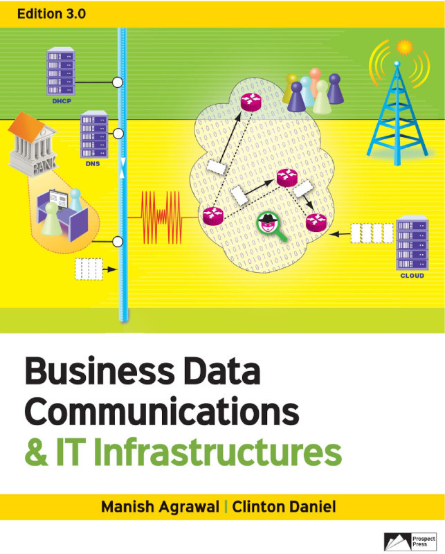 Business Data Communications And It Instrastructures 3rd Edition Manish Agrawal