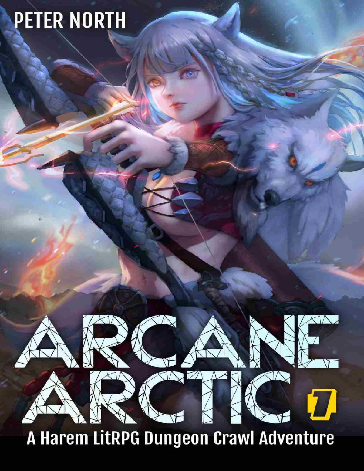 Arcane Arctic 1 A Harem Litrpg Dungeon Crawl Adventure Peter North