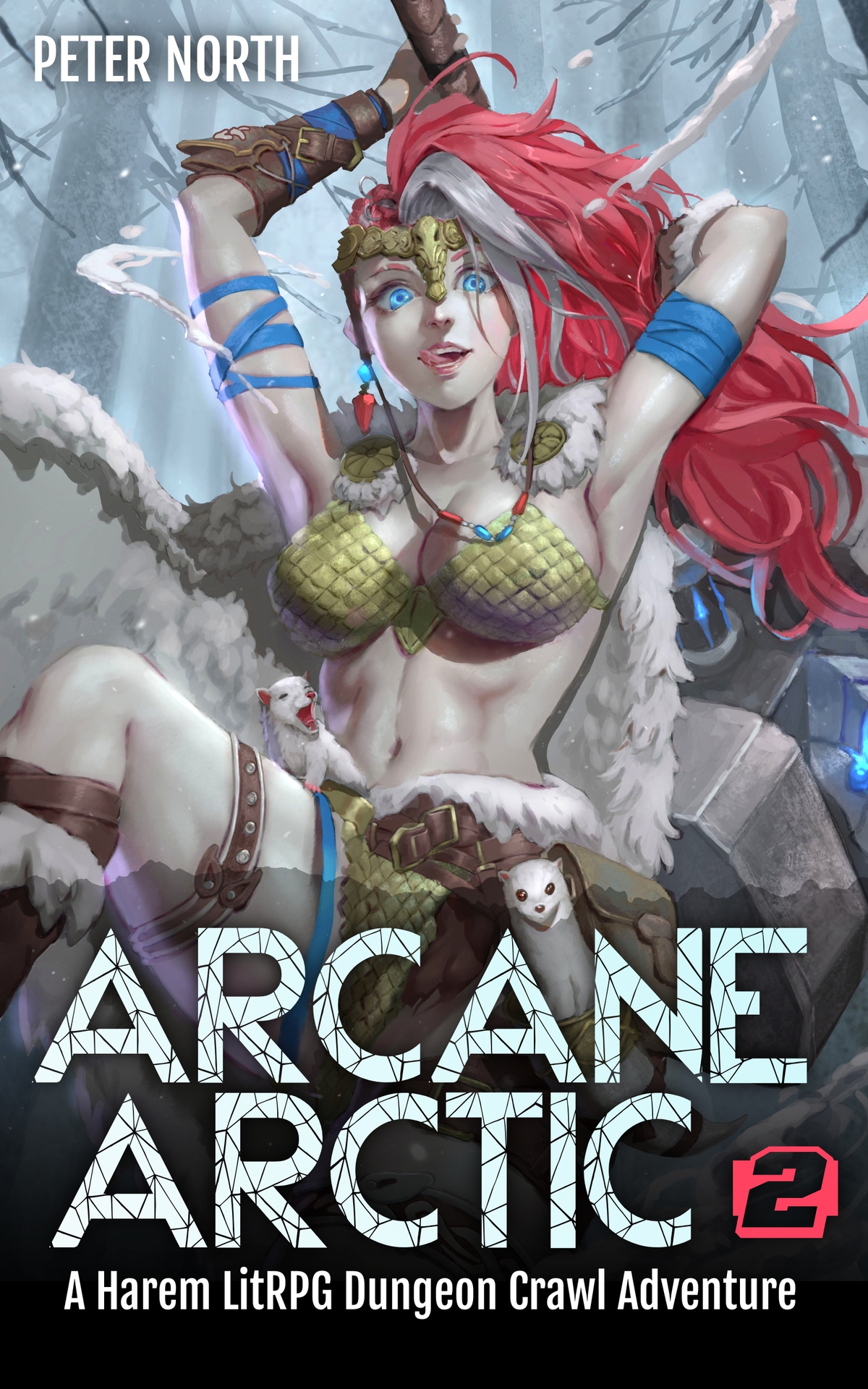 Arcane Arctic 2 A Harem Litrpg Dungeon Crawl Adventure Peter North