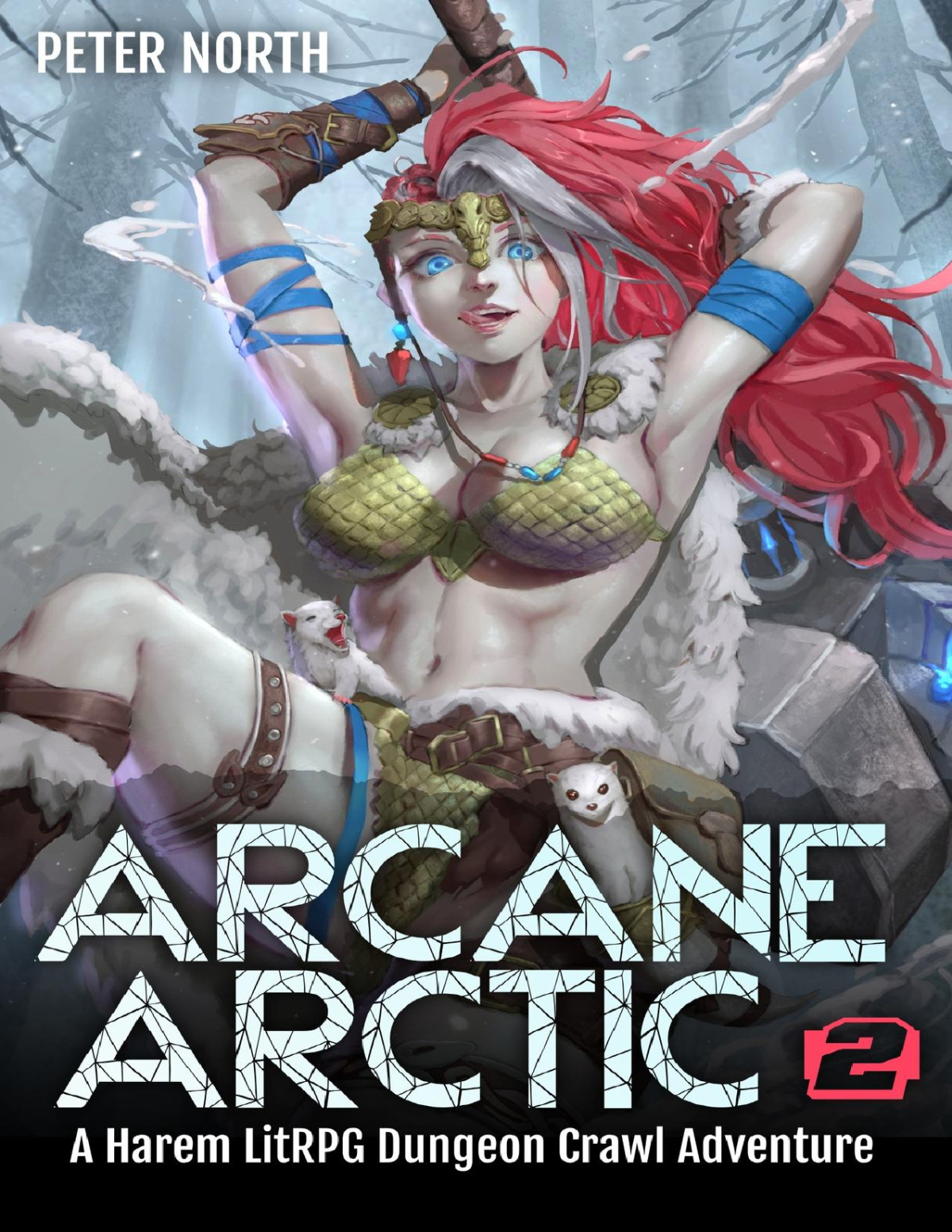 Arcane Arctic 2 A Harem Litrpg Dungeon Crawl Adventure Peter North