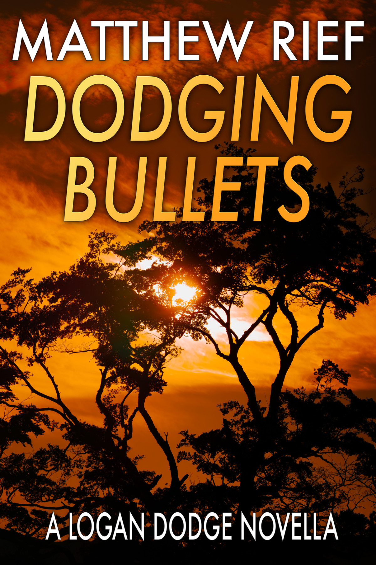 Dodging Bullets Matthew Rief