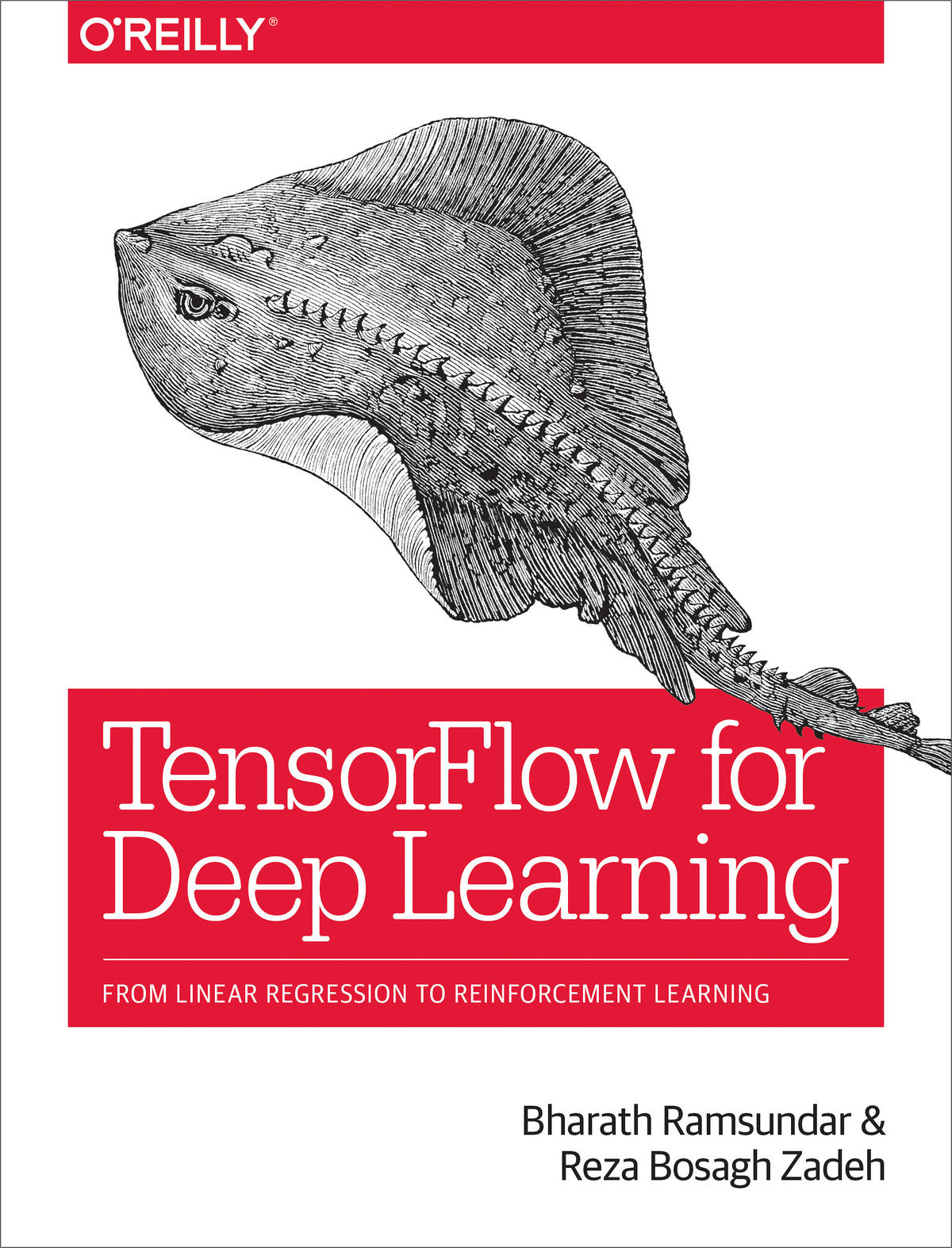 Tensorflow For Deep Learning Bharath Ramsundar Reza Bosagh Zadeh