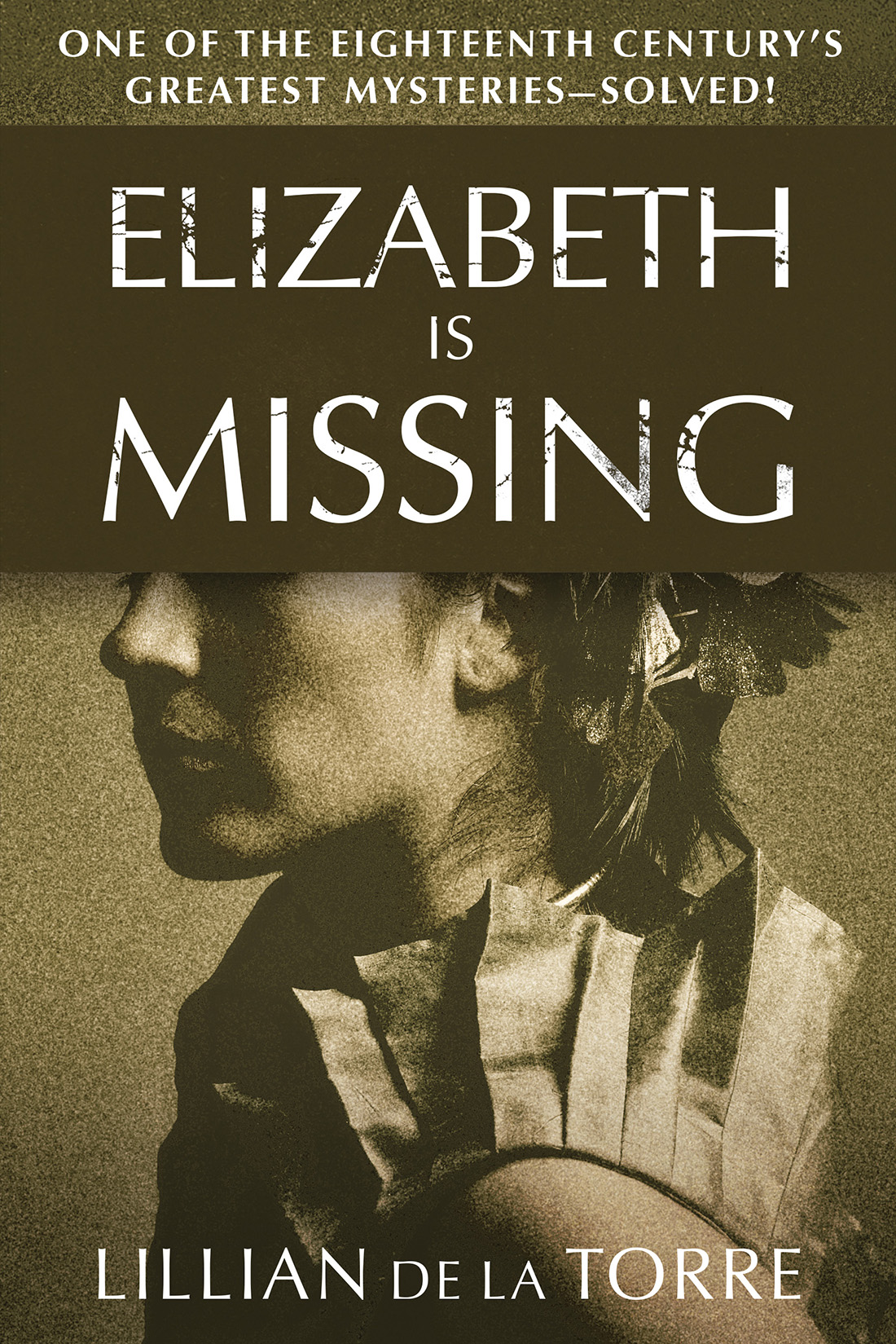 Elizabeth Is Missing Lillian De La Torre