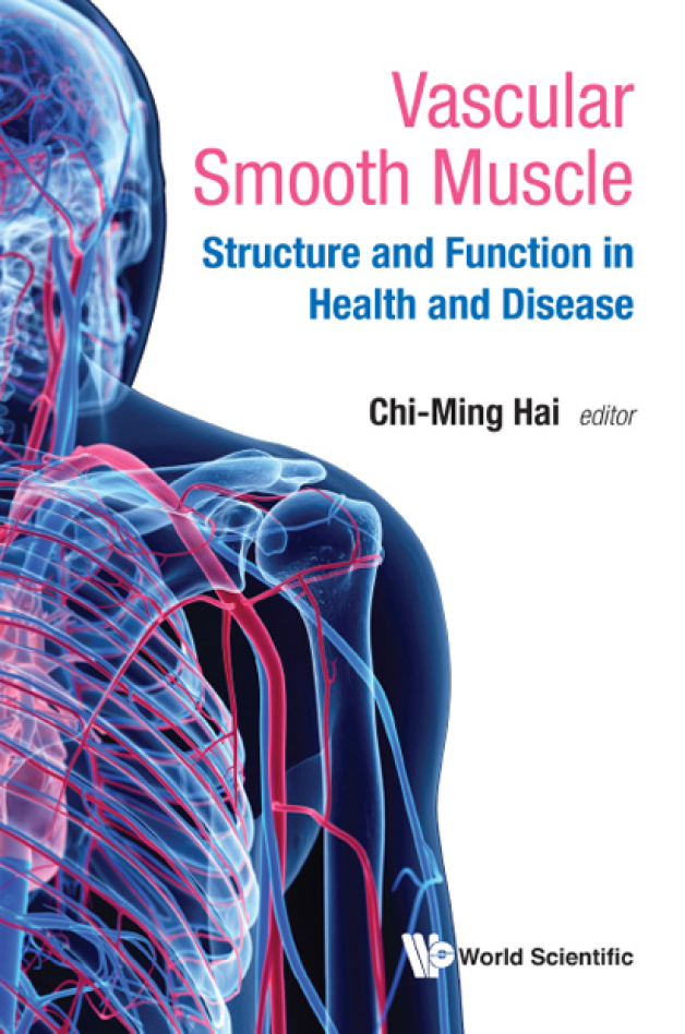 Vascular Smooth Muscle Structure And Function In Health And Disease Hai