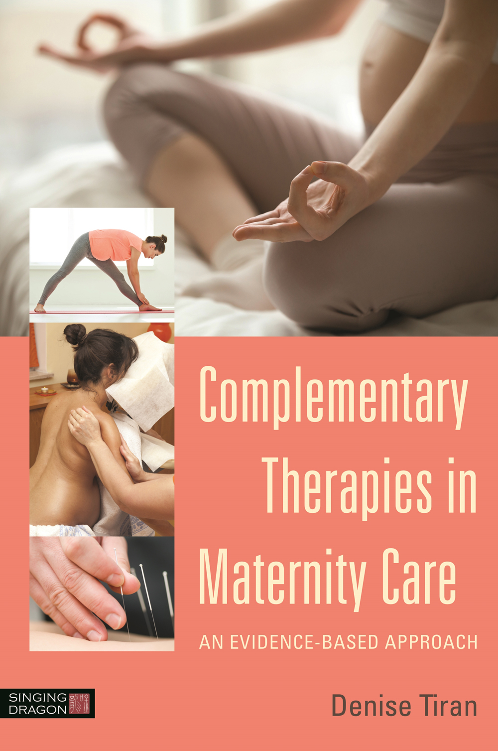 Complementary Therapies In Maternity Care Denise Tiran