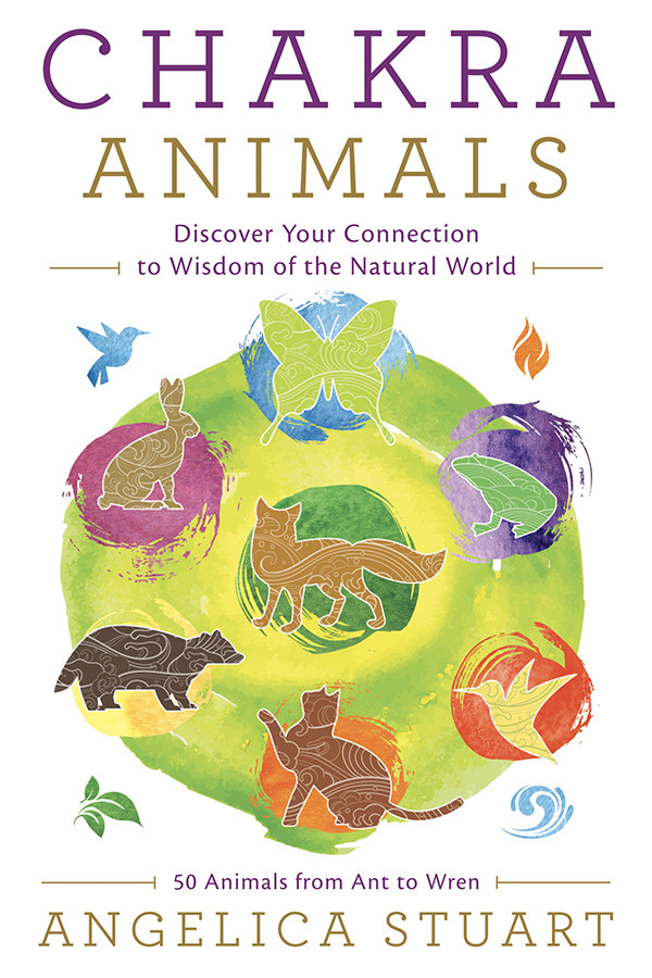 Chakra Animals Angelica Stuart
