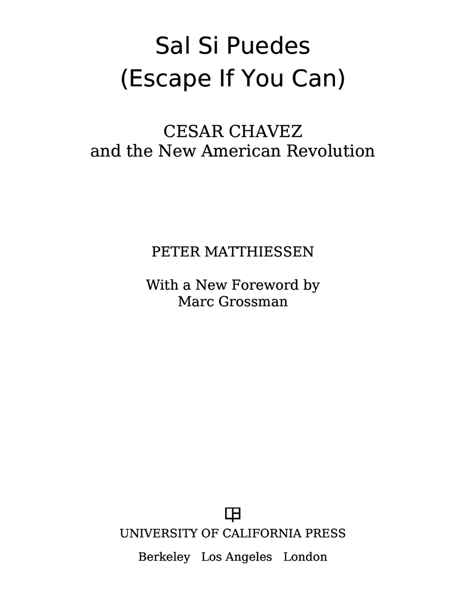 Sal Si Puedes Escape If You Can Matthiessen Peter Grossman