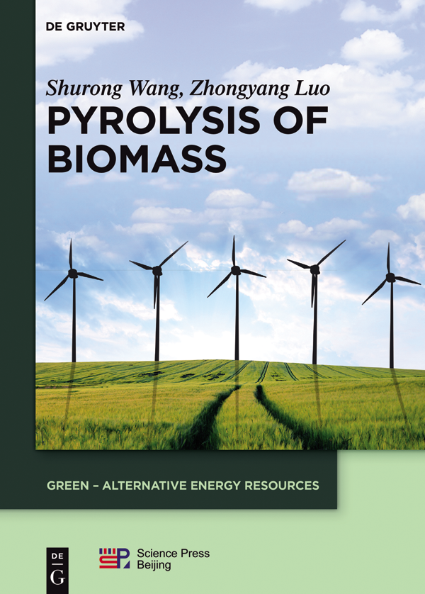 Pyrolysis Of Biomass Shurong Wang Zhongyang Luo