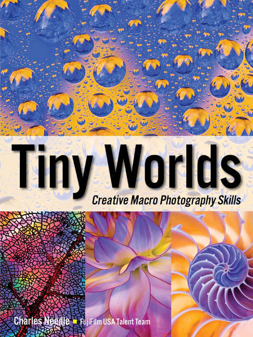 Tiny Worlds Creative Macrophotography Skills Needle Charles