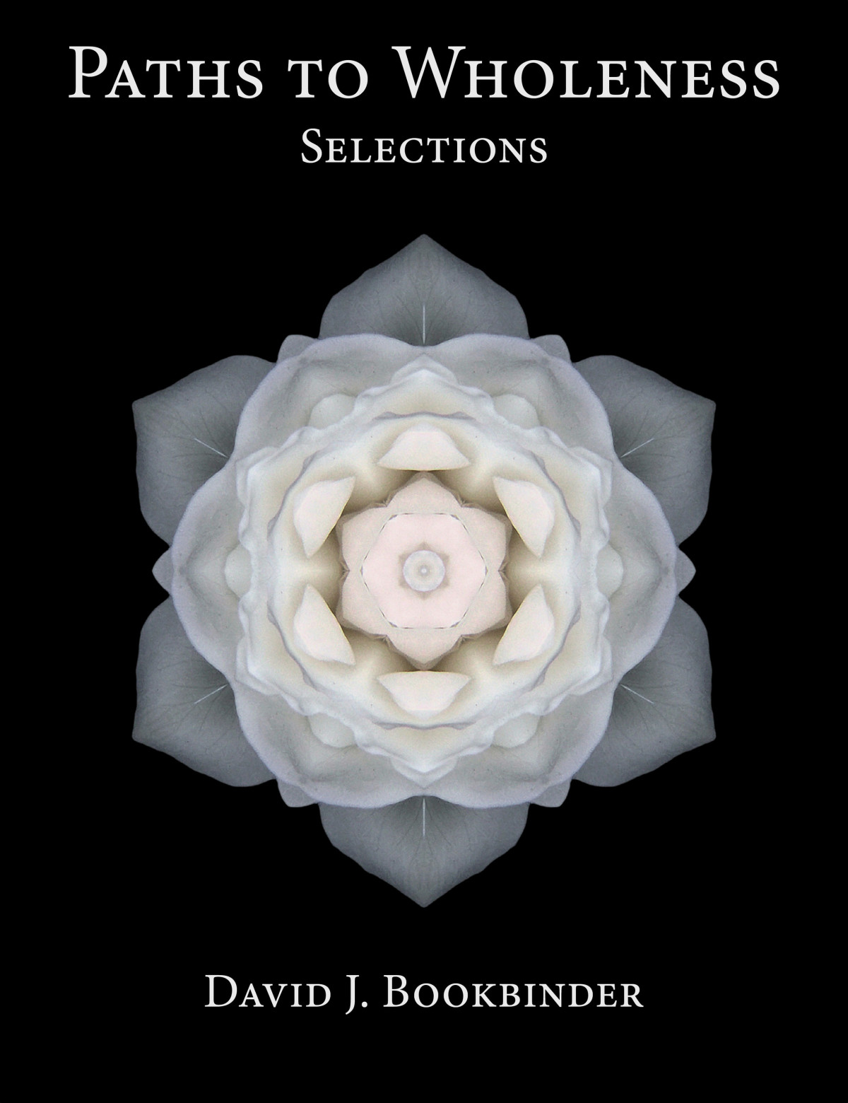 Paths To Wholeness Selections David J Bookbinder