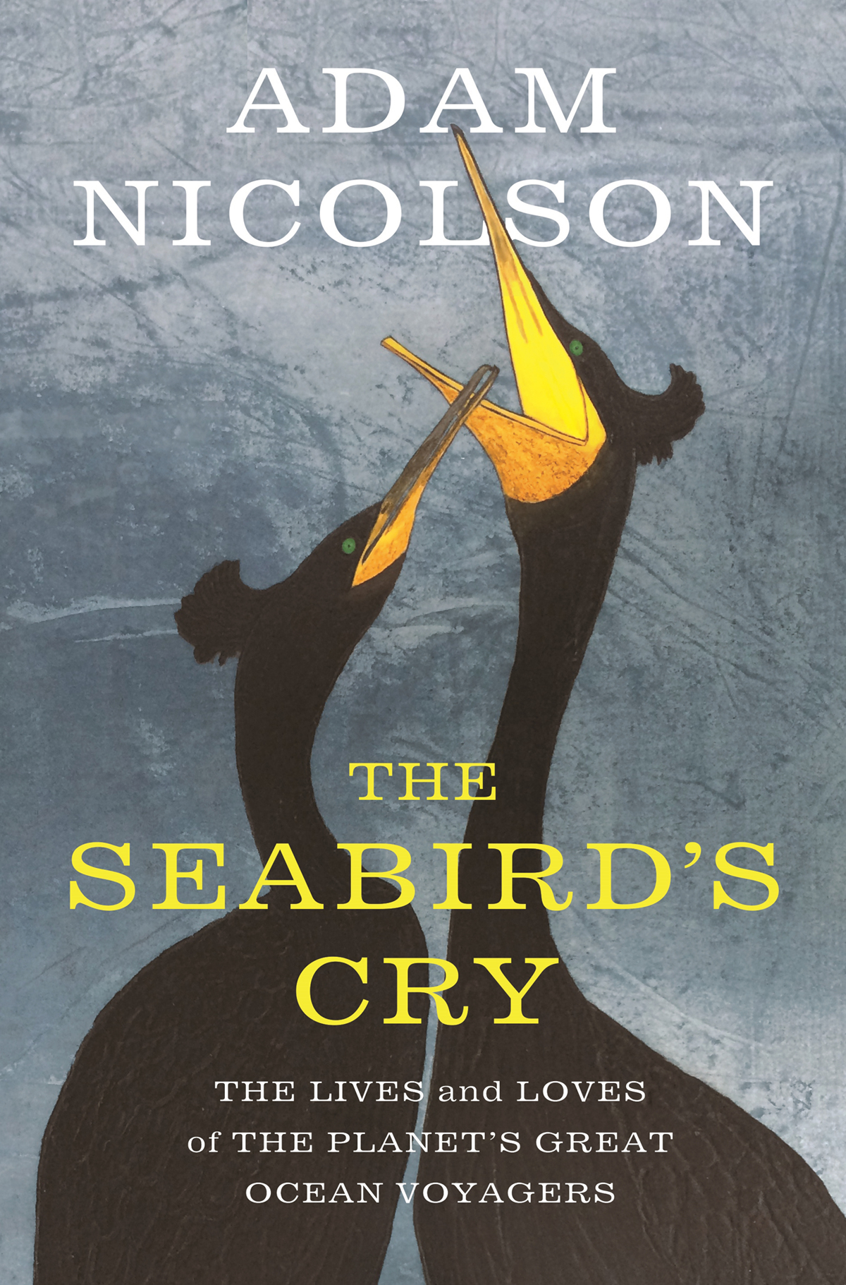 The Seabirds Cry Adam Nicolson