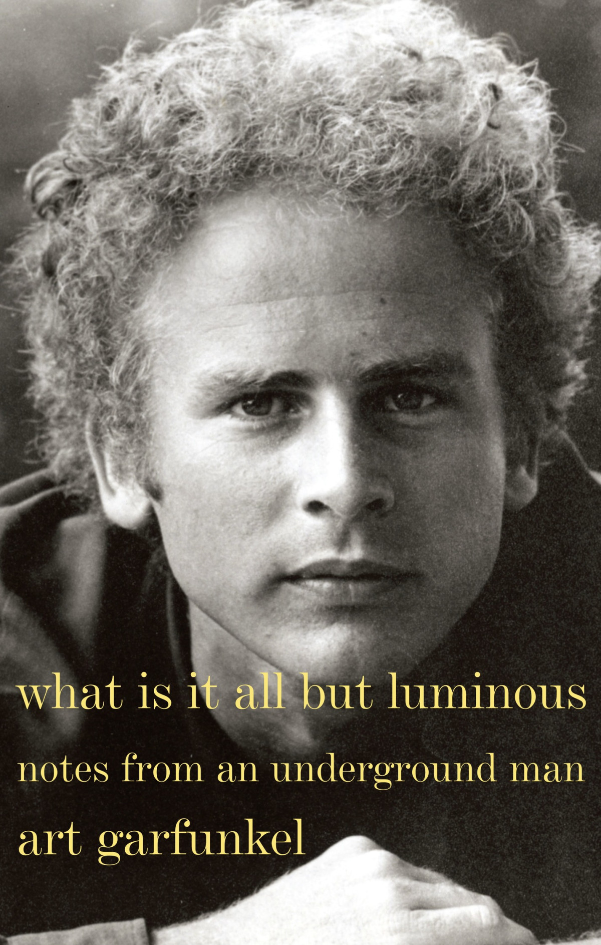 What Is It All But Luminous Art Garfunkel