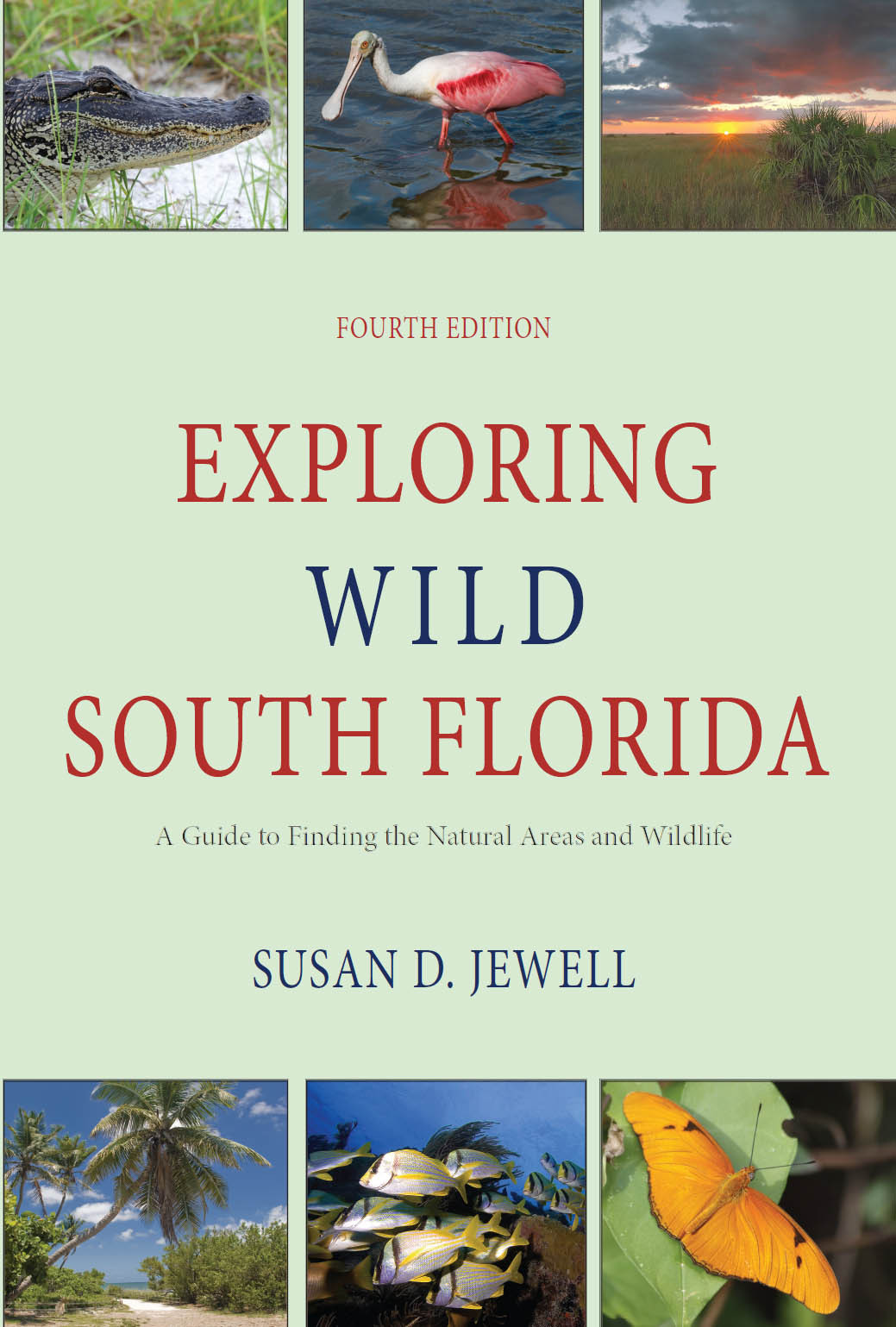 Exploring Wild South Florida Susan D Jewell