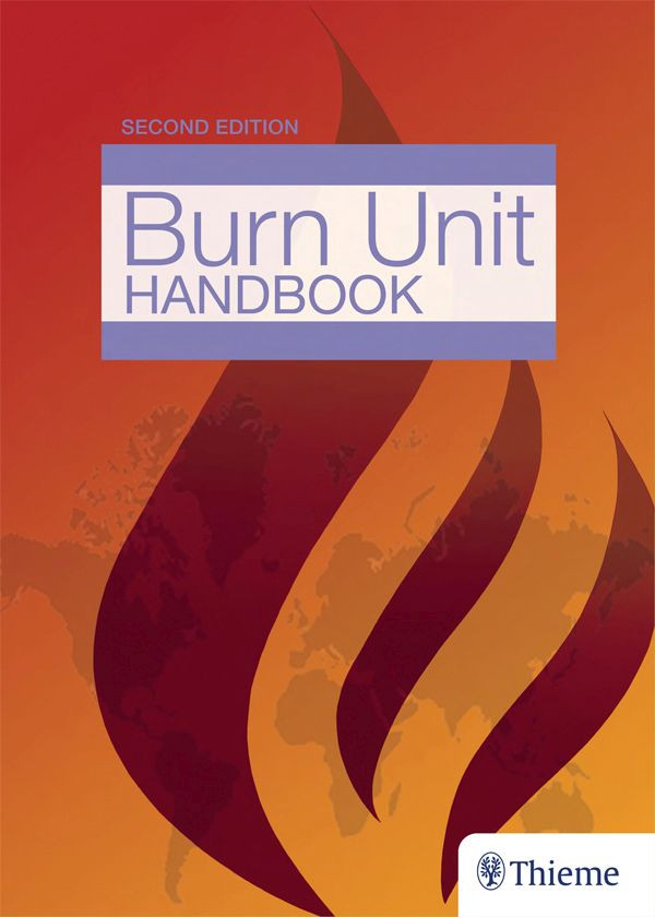 The Essential Burn Unit Handbook Jeffrey J Roth William B Hughes