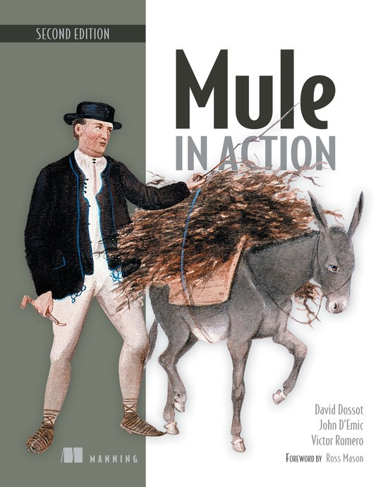 Mule In Action Second Edition 2nd Edition David Dossot John Demic